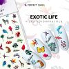 Körömmatrica - Exotic Life