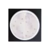 Flower Gel - Purple - 5g