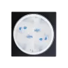 Flower Gel - Blue - 5g