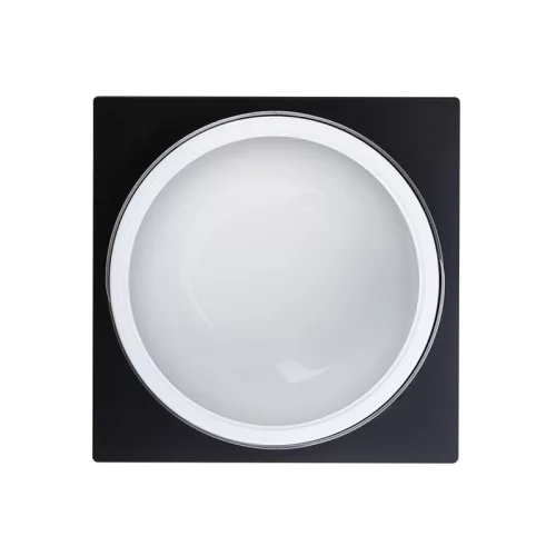 Basic Clear Gel - Átlátszó műkörömépítő zselé 50g