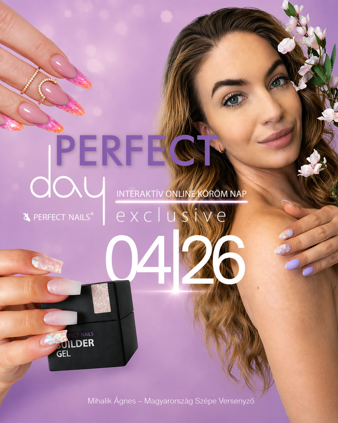 Perfect Day Live Show plakát