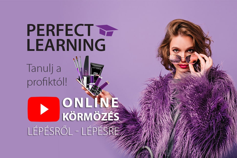 Perfect Learning